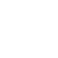 usp-icon